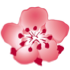 China Airlines virtual airline logo