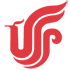 Air China virtual airline logo