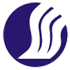 Shandong Airlines virtual airline logo