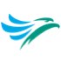 cebu pacific virtual airline logo
