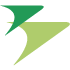 Binter Canarias virtual airline logo