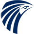 Egyptair virtual airline logo