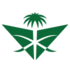 Saudi Arabian Airlines virtual airline logo